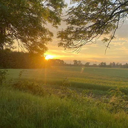By The Jizera River *