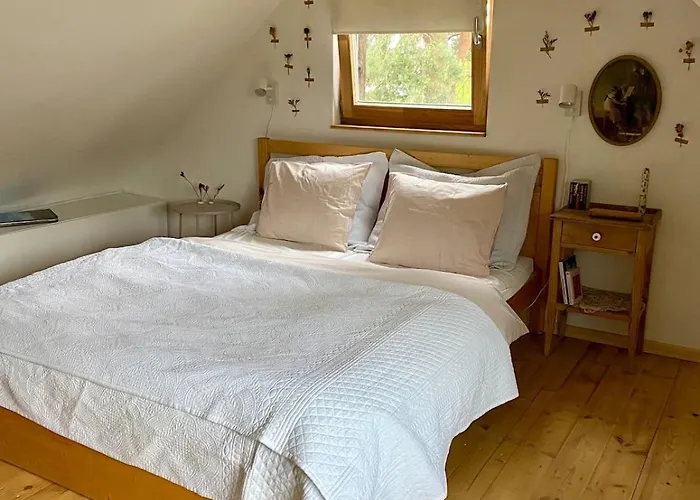 By The Jizera River Novy Vestec