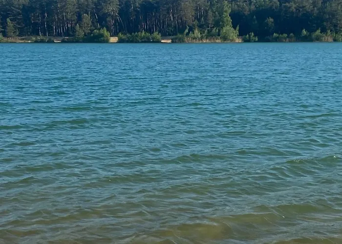 Дом отдыха By The Jizera River Novy Vestec